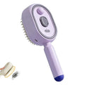 Spray Air Cushion Massage Comb